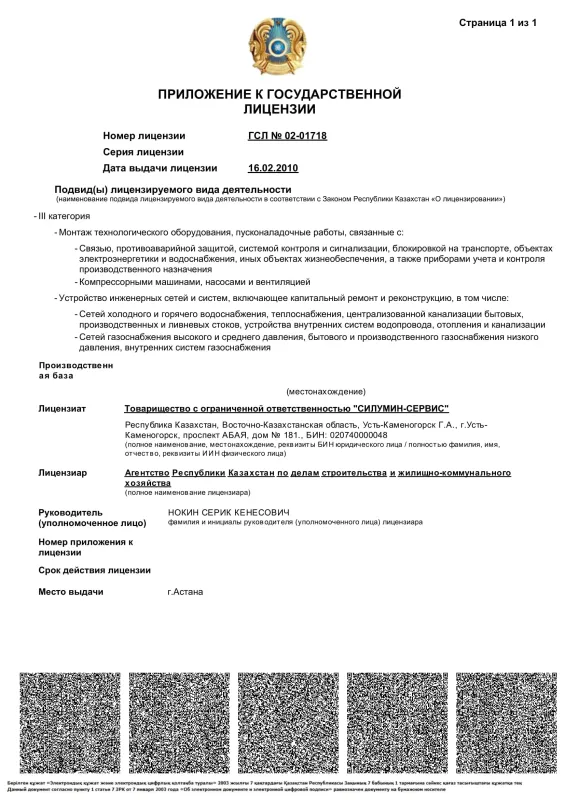 Приложение к государственной лицензии